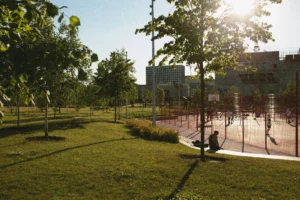 eventos-e-campanhas-sustentáveis-promovidos-pelas-universidades