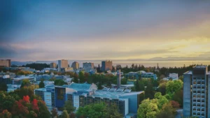 como-as-universidades-usam-dados-para-criar-cidades-mais-inteligentes-Fauze-Youssef-Skaff